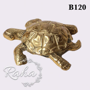 لاک پشت B120